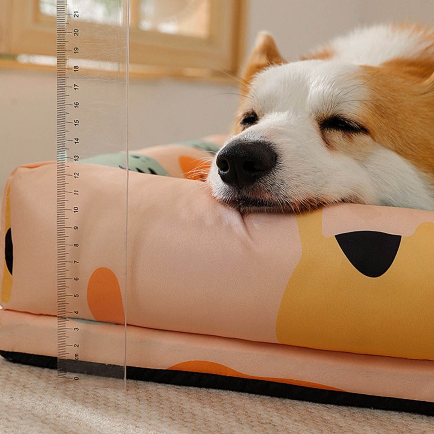 夏のペット用ベッド