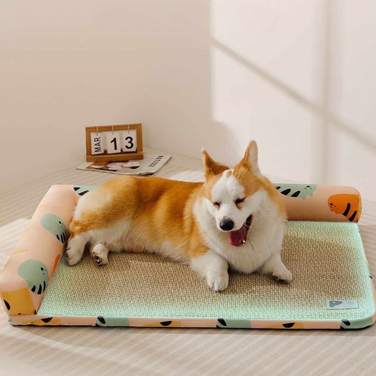 夏のペット用ベッド