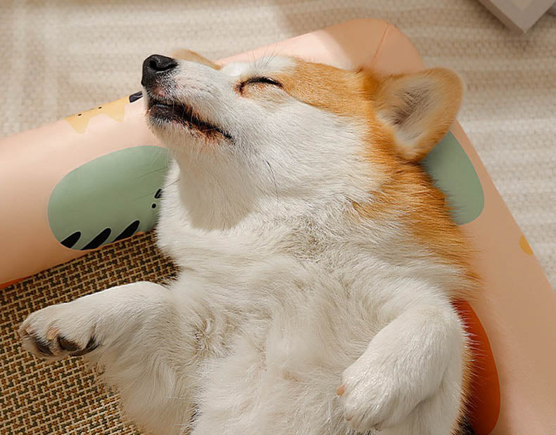 夏のペット用ベッド