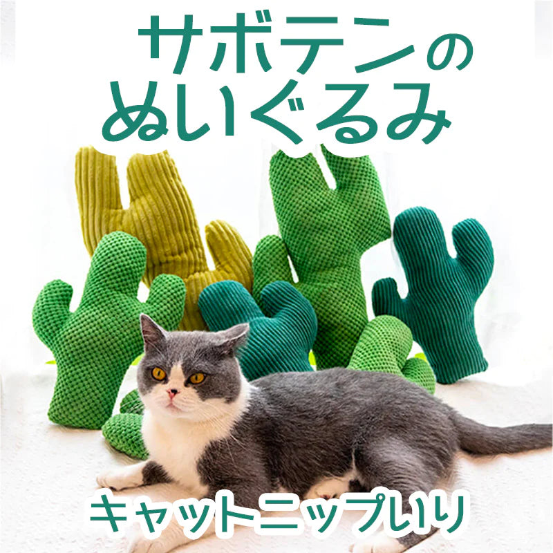 サボテンのおもちゃ