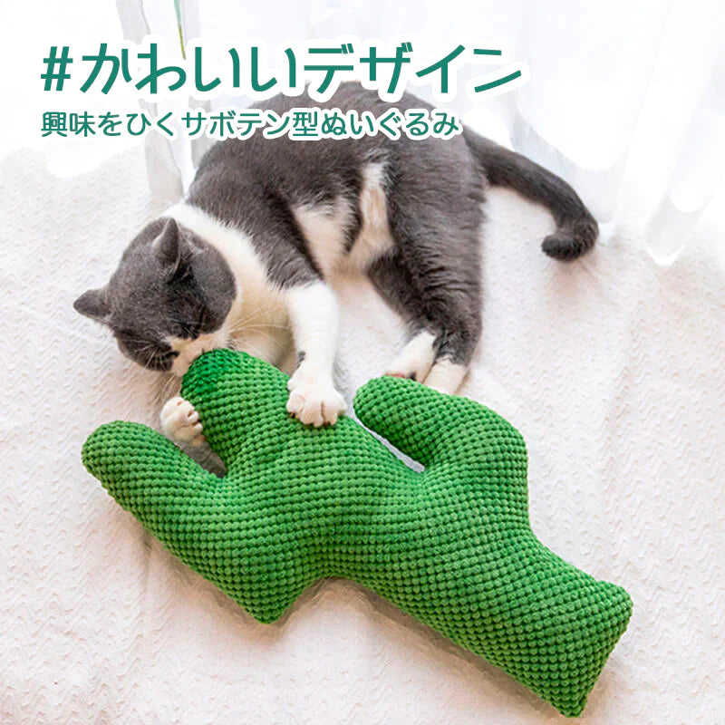 サボテンのおもちゃ
