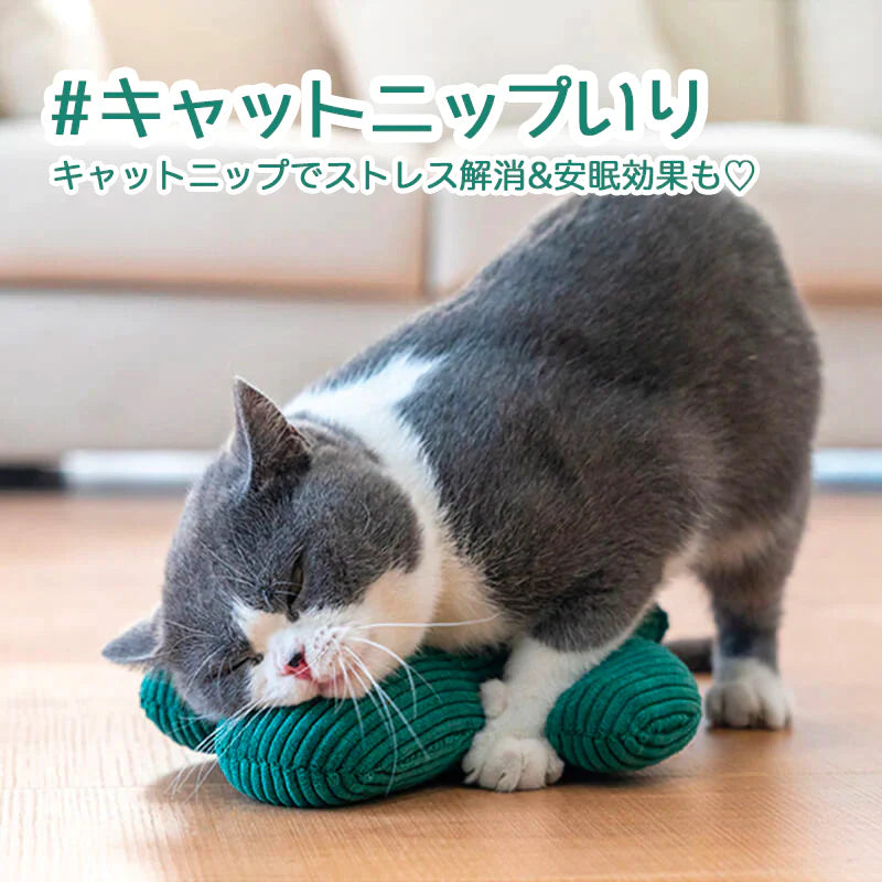 サボテンのおもちゃ