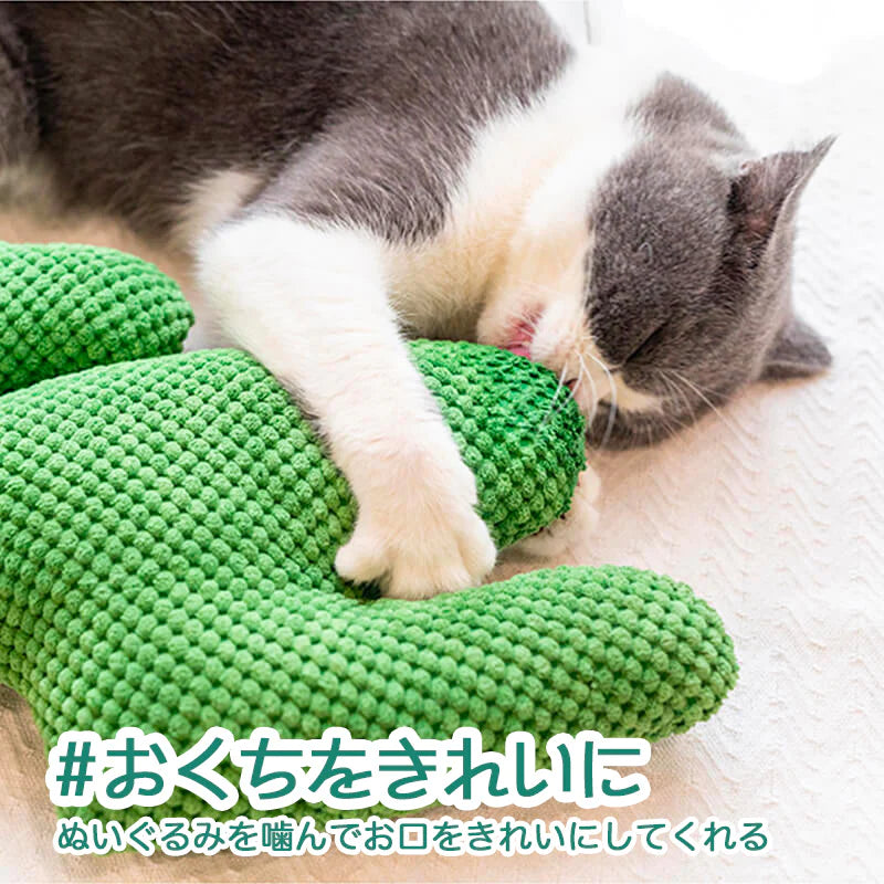 サボテンのおもちゃ