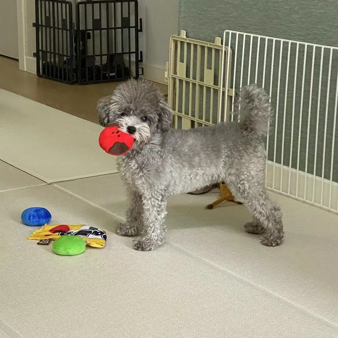 犬のおもちゃ - カラフルチョコ