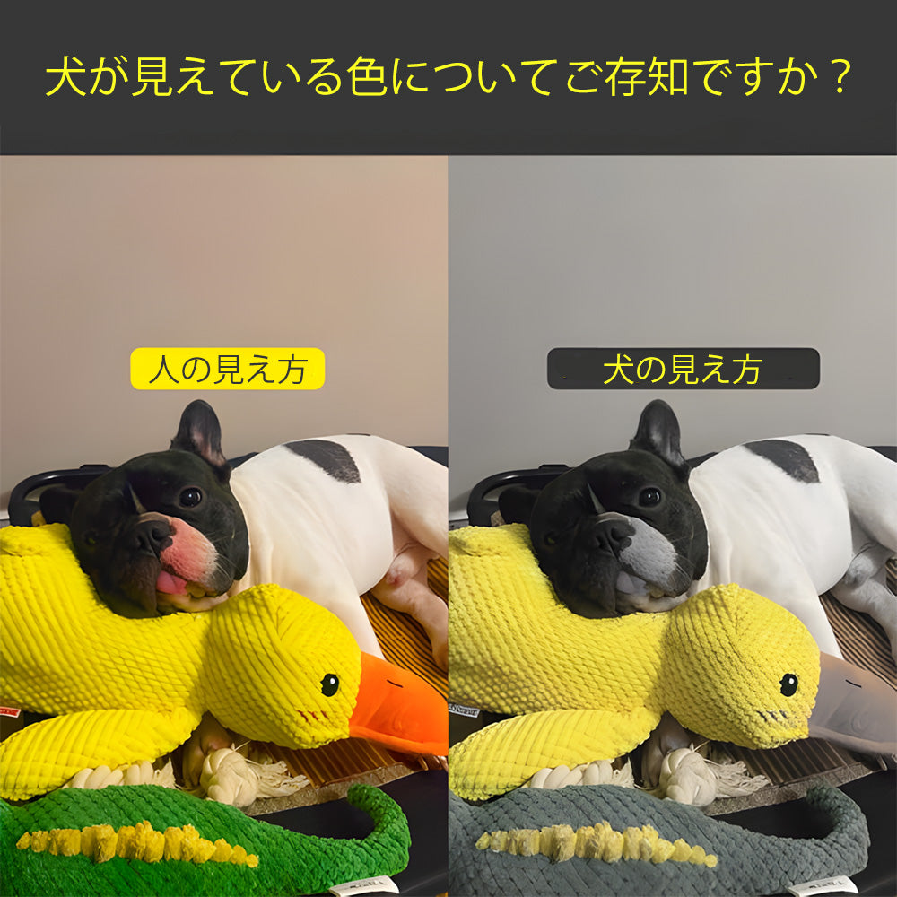 どこでも一緒の相棒 おやすみダック