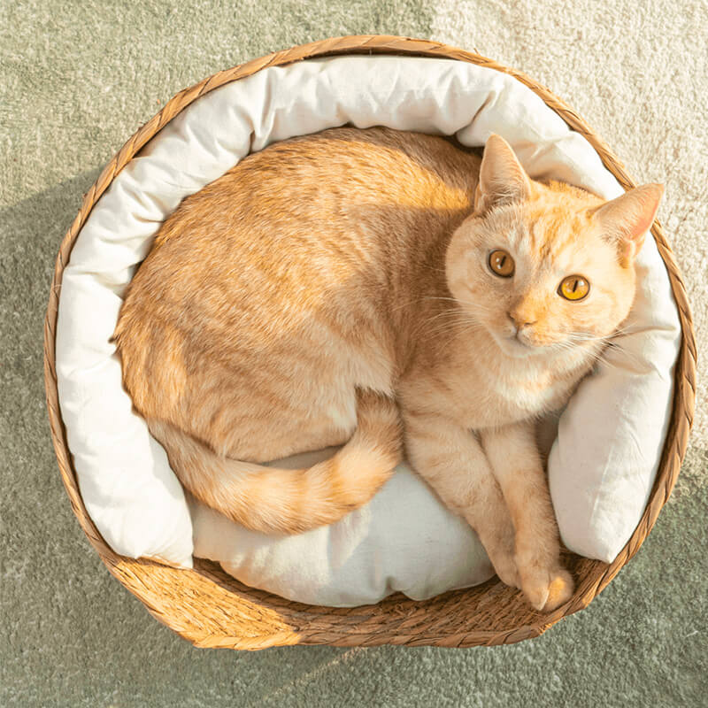 バスケットベッド【MEAO】 猫 ねこ ベッド おしゃれ かわいい 夏